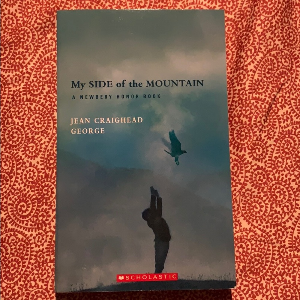 my side of the mountain book